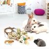 Grinding Natural Guinea Pigs Bunny Cage Accessories Molar Rattan Ring Buuny Chew Toy Rabbit Treats