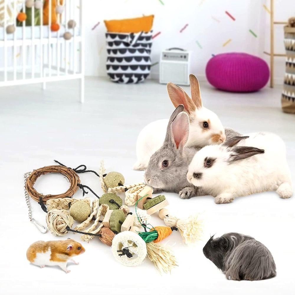 Grinding Natural Guinea Pigs Bunny Cage Accessories Molar Rattan Ring Buuny Chew Toy Rabbit Treats