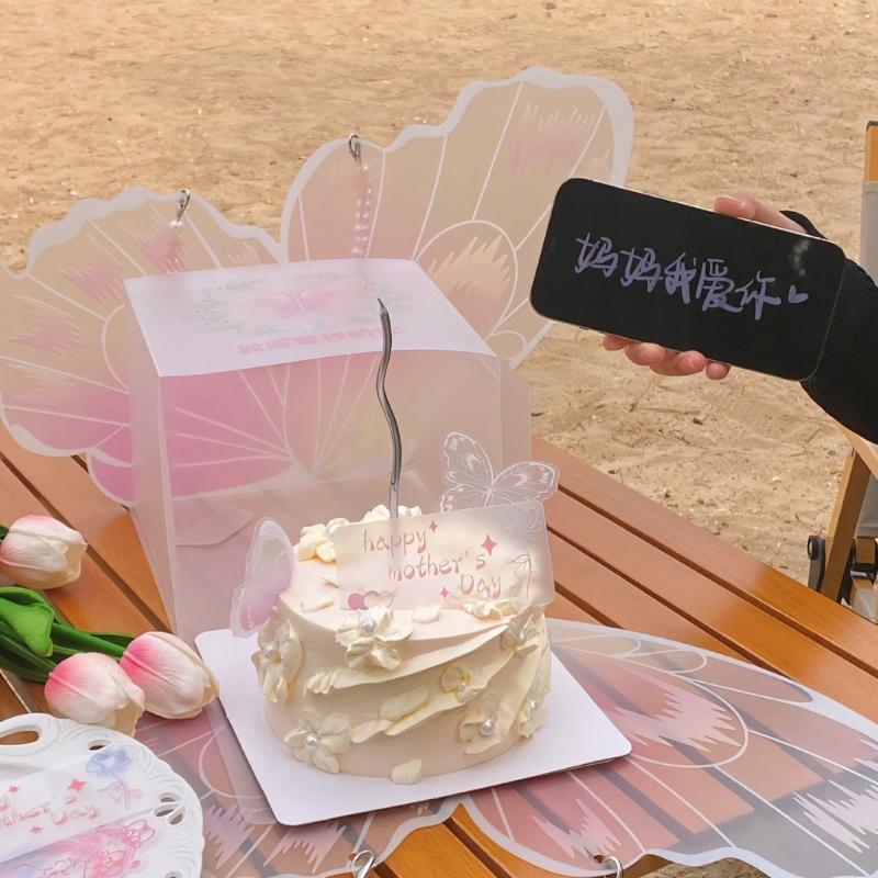 Set Of 5 Pink butterflycake Boxes Plastic Decorative Containers For functions