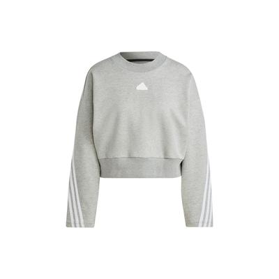 Logo Yan Çizgili Uzun Kollu Kapatıcı Sweatshirt Kadın sweatshirt Gri IB8496