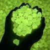 10-30PCS Mini Fluorescence Chicken Moss Toy Microlandscape Miniature Chick Figurines Fairy Garden Accessories Home Decor Crafts