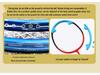 Ultralight Carbon Fiber Venison Badminton Racket Set for Adults