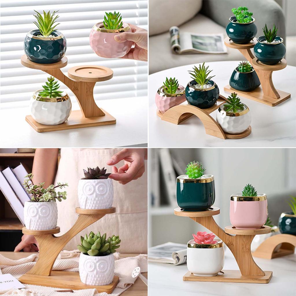 Bamboo Plants Pot Holder for Bonsai Succulent Plants 3 Layers Flowerpot Bracket