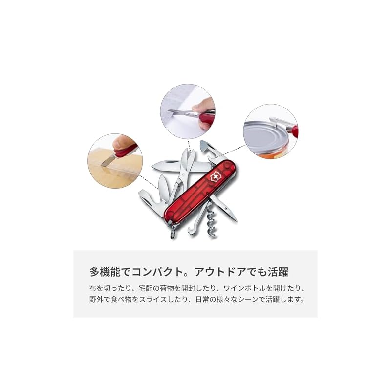 VICTORINOX Cyber Traveler T (1.3703.T)