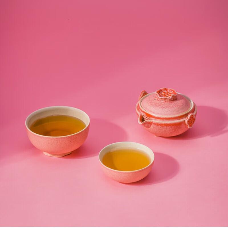 Edenus Portable Ceramic Quick Brew Travel Tea Set