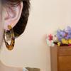 Sweet Vintage Acetate Hoop Earrings Trendy Circle C-shaped Earring Set Silver Acetic Acid Leopard Print Earrings Girls