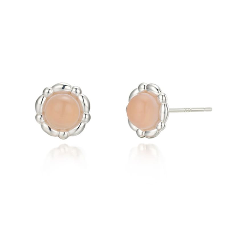PAIGEFLYNN JEWELRY [925 Silver] New Age Pastel Earrings