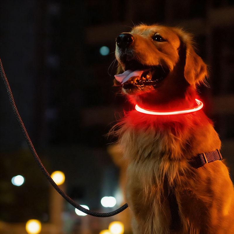 New LED Dog Collar USB Rechargeable,3 Mode Adjustable Glowing Dog Collar for Night Walking,Safe Reflective Pet Collar