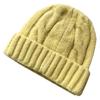 Korea autumn and winter simple coarse needle twisted warm knitted hat women's versatile ear protection wool hat