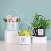 Portable Plant Stand Planter Decoration Florist Decorative Flower Stand Container Wrought Iron Cactu