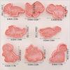 Dinosaurs Dinosaur Cookie Cutters with Stamp 8 Pcs