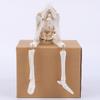 Resin Hanging Leg Skeleton Don't Look Don't Listen Don't Say Bone Model  Halloween