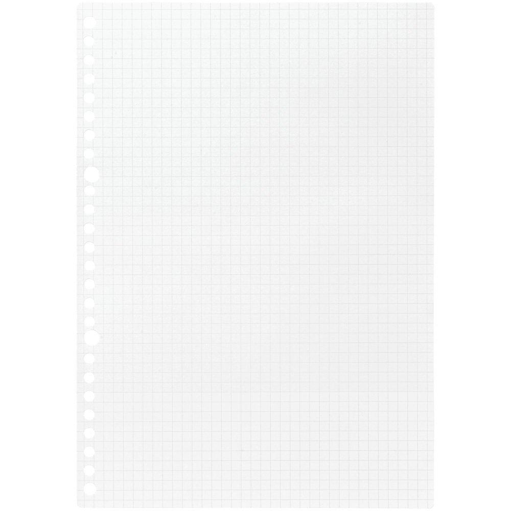 Maruman Easy to Write 5mm B5 Set of Loose-Leaf Paper, On, Grid, Size, L1207H, 5.