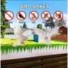 10 Rows 450CM Plastic Anti-Bird Spikes Garden Anti-theft Deterrent Spike Fence Wall Pigeon Cat Proof Prevent Tools Anti Climb Cat Spike