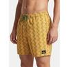 Шорты Пляжные Quiksilver Stretch Printed Volley 16