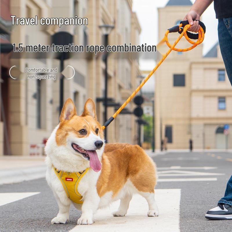 Corgi Dog Harness and Leash Set - Small To Medium Dog Vest Style
