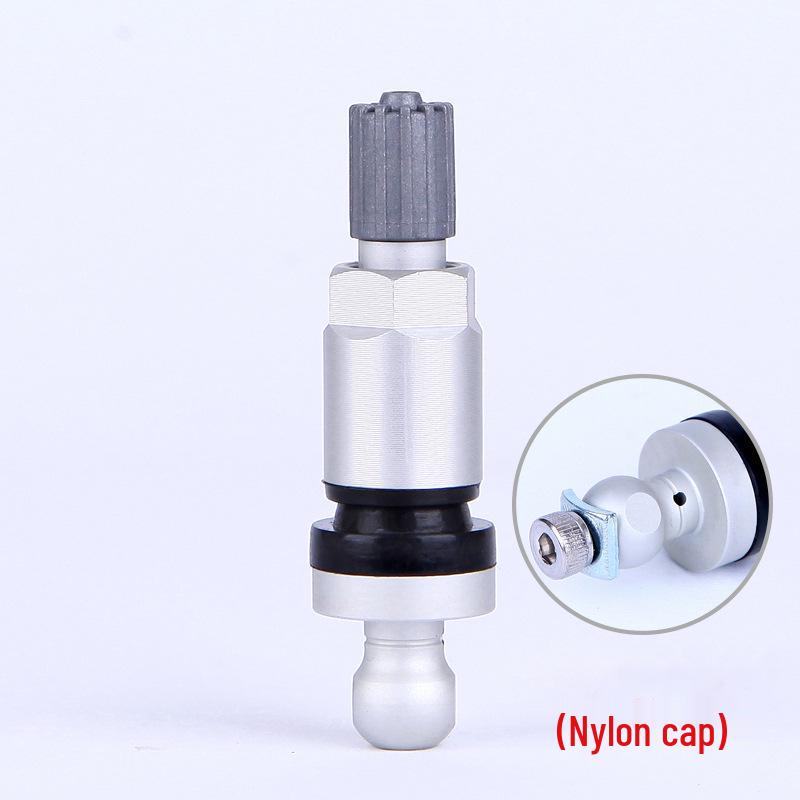 

TPMS-14 Золотник для датчика давления в шинах BMW, Nissan, Mitsubishi