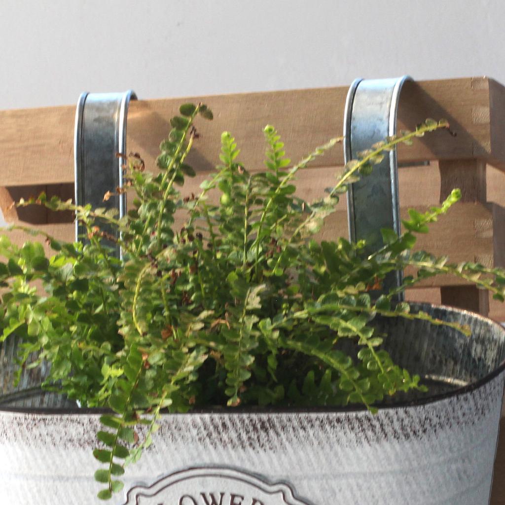 Vintage Hanging Flower Pot with Removable Hooks Oval Bucket Iron Flower Holder Plant Pot Home Garden Balcony