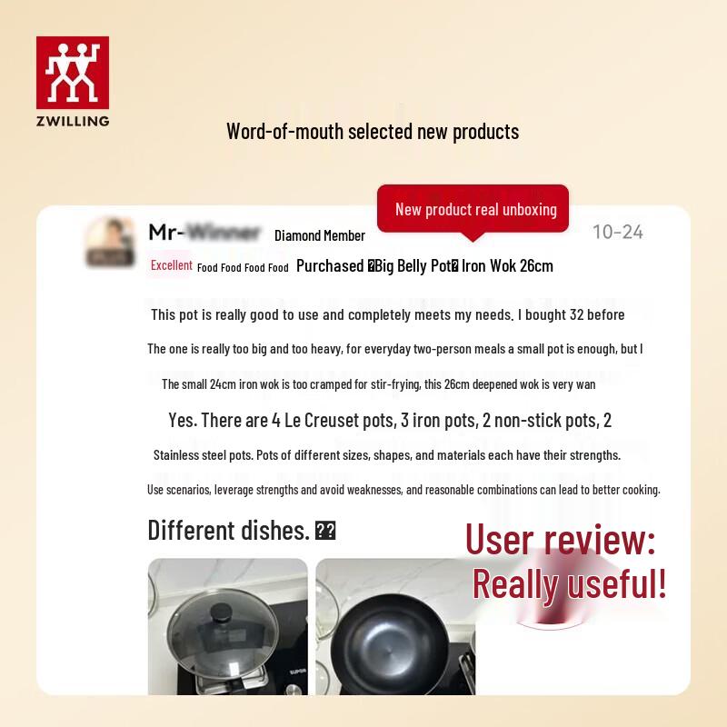 ZWILLING 26cm Refined Iron Wok