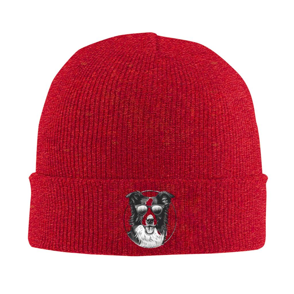 Border Collie Winter Skullies Beanies Hat Warm Autumn Knitted Hats Bonnet Caps for Women Men