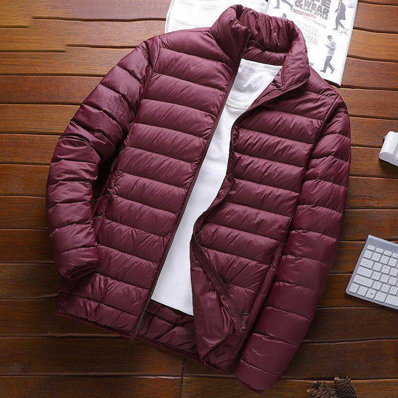 Men's Lightweight Stand-Up Collar Down Cotton Jacket - Solid Color, Warm, Versatile, Casual Winter Wear