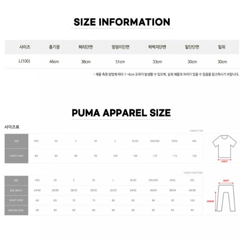 Puma TeamriSe Training ShortS  65733603  Men S ShortS