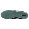 Nike Ishod Wair Premium SB Chicago Unisex Sneakers White University-Red Black DZ5648-100