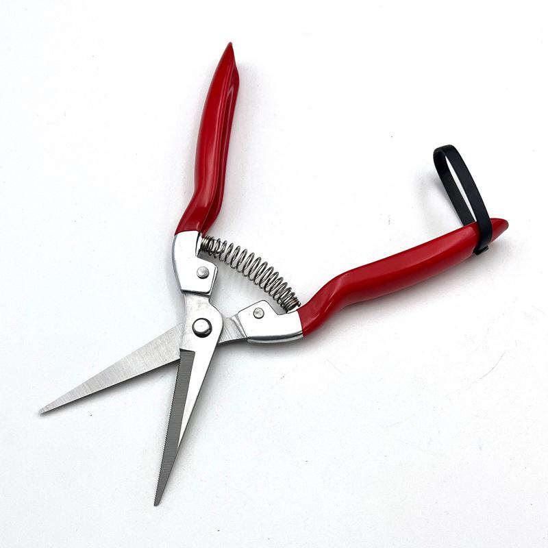 Stainless Steel Gardening Shears for Fruit Picking and Flower Pruning