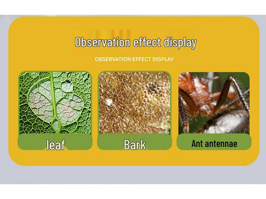 HD Kids' Microscope Science Kit with Specimens, 40-16000x Magnification, for Primary & Secondary Students.