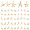 50Pcs 5 Style Iron & Alloy & Brass Pendants Starfish/Sea Stars Light Gold 17.5~24x15.5~22x1~3mm 10pcs/style