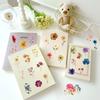 50pcs Transparent PET Flower Stickers Handbooks Tablets Phone Water Cups Decor Stationary Notebook Sticker