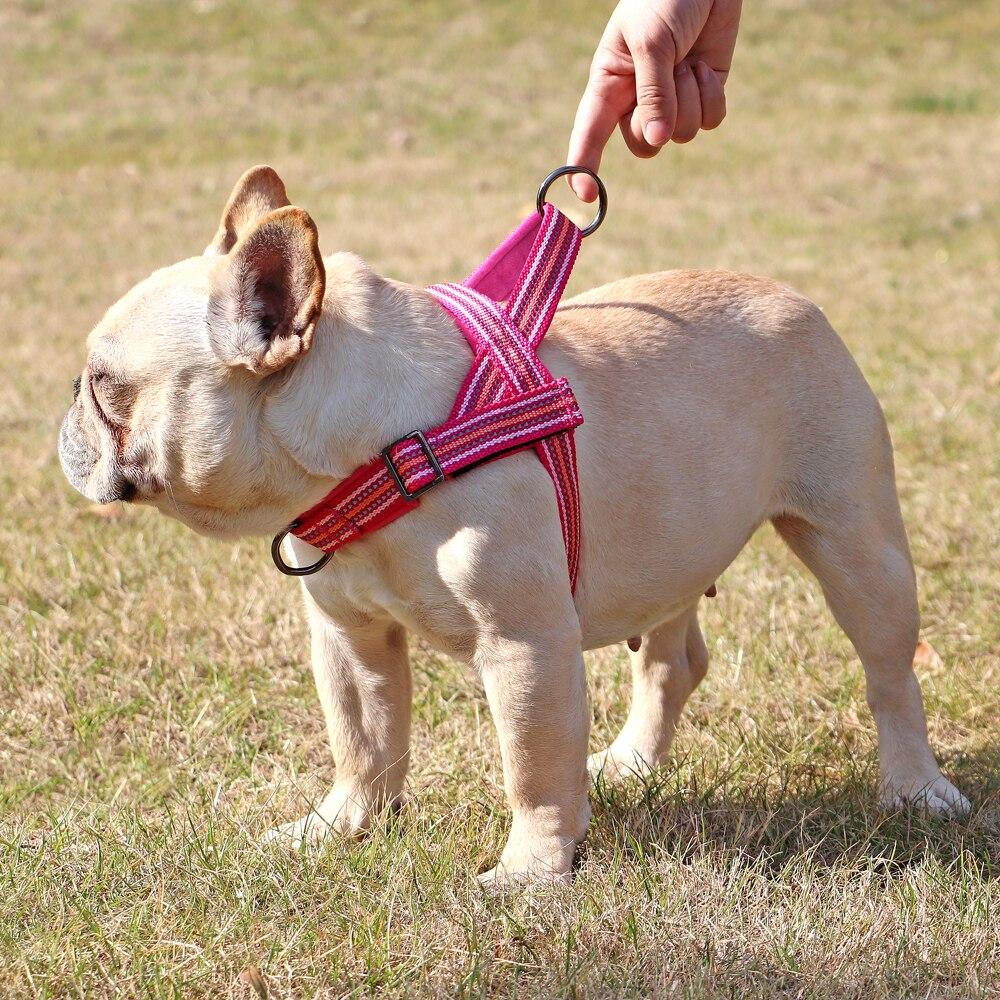 Step-in Hundegeschirr (No-Pull) – Atmungsaktives Netz, Reflektierend, Gepolstert, Verstellbar Für Kleine & Mittlere Hunde/Katzen