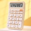 Calculator 12 Digit Handheld Pocket Calculator Note Pad Calculator for Students Office