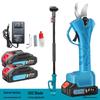 Telescopic Electric Brushless High Branch Pruner Saw for Horticulture and Fruit Trees