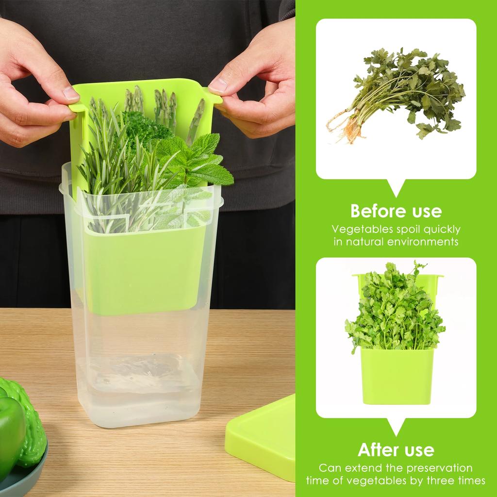 Herb Keeper for Refrigerator Clear Plastic Herb Saver Asparagus Container Multipurpose Vegetable Keeper for Mint Parsley Thyme