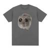 Funny Sad Hamster Meme Cry BiG Eye Cute Mouse  T Shirt Men Women Casual Short Sleeve T-shirts Tops 100% Cotton Oversized T-shirt