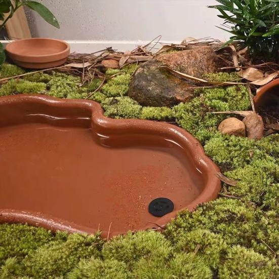 Turtle Water Basin with Anti-slip Ladder Bathing Platform Drainage Hole Tortoise Reptiles Bathtub Habitat Landscaping Water Holder Bowl Dish