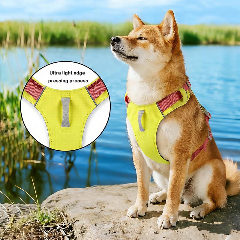Outdoor Dog Chest And Back Lightweight Chest Strap Explosion-proof Harness Pet Walking Training For Medium Large Dog Accessories
