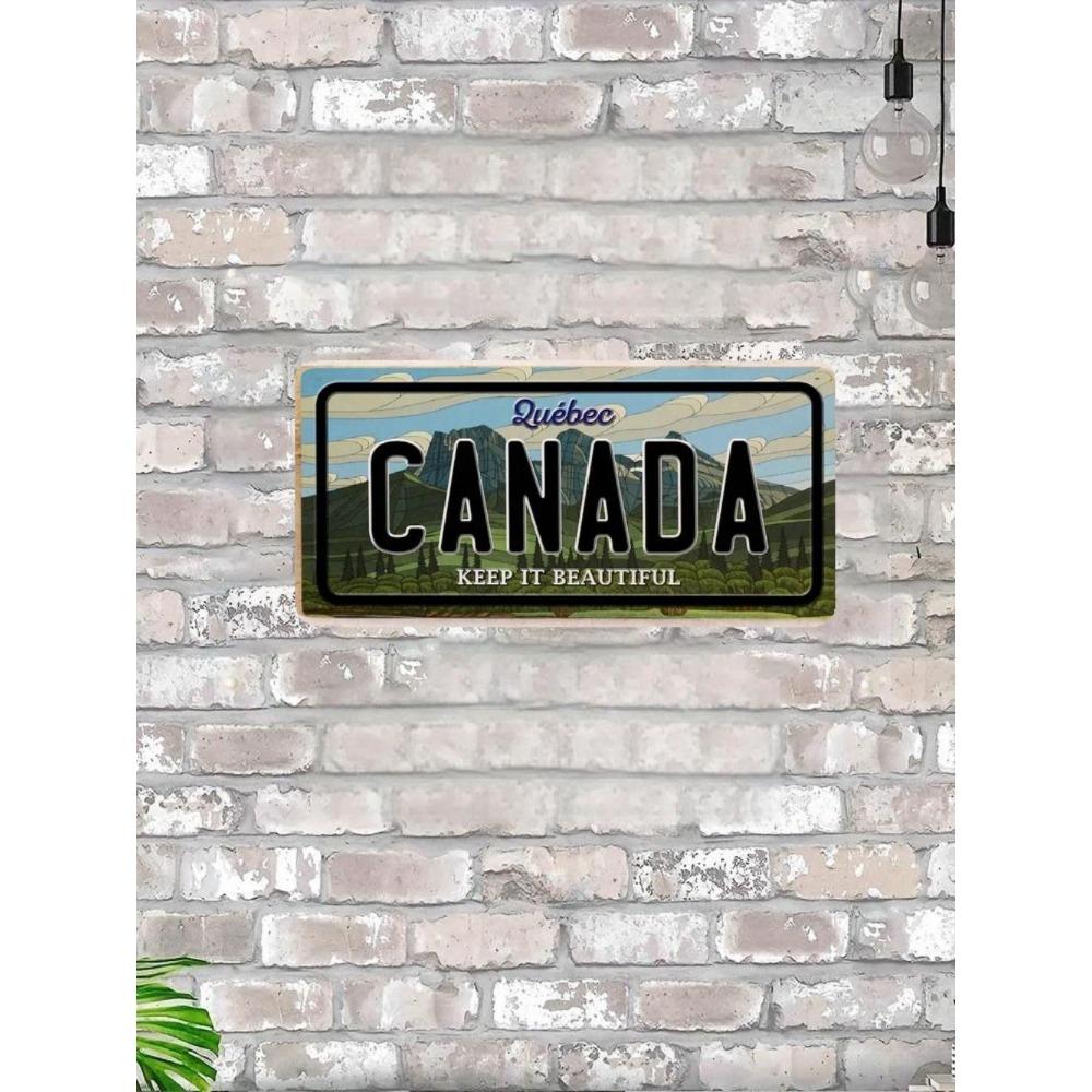 NÁS. registrační značka, USA. SPZ, kovová, 15x30 cm.