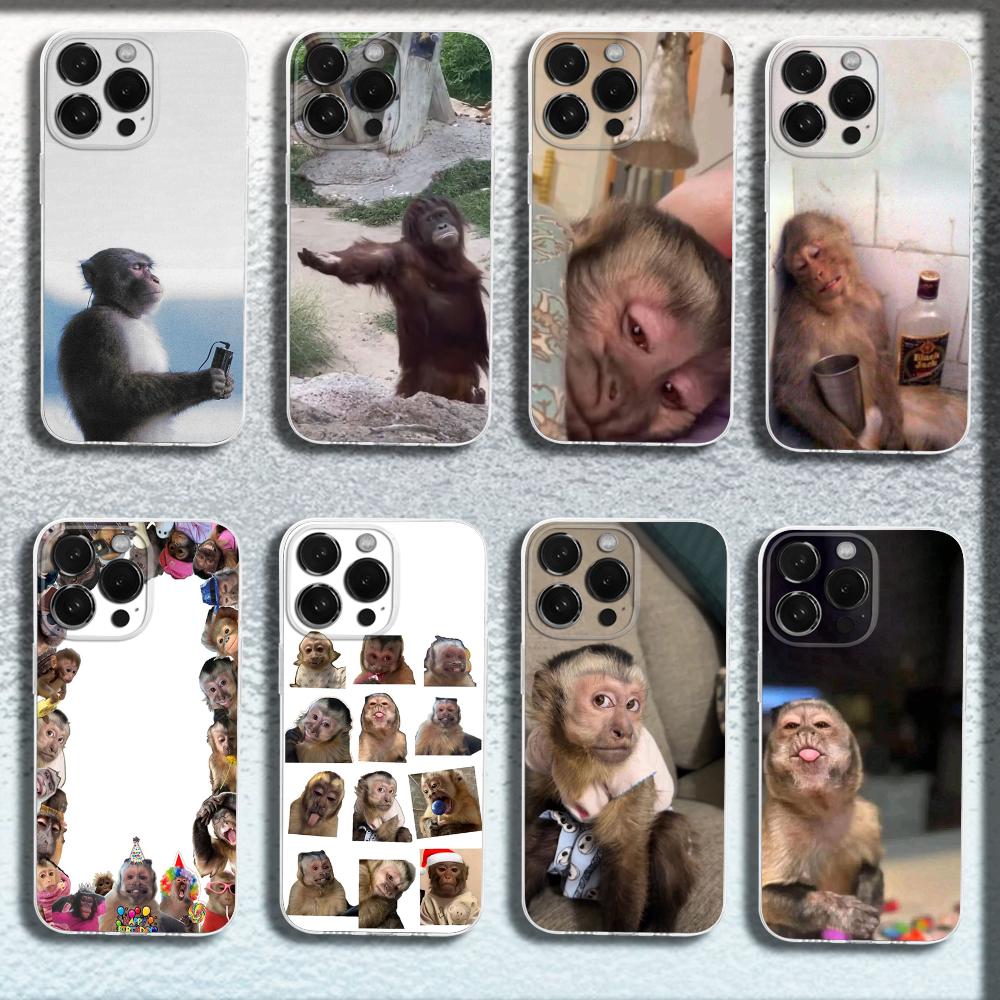 Cute Funny Monkey Phone Case For iPhone 16,15,14,13,12,11 Plus,Pro,Max,XR,XS,X,Plus,SE,Mini Transparent Soft Cover