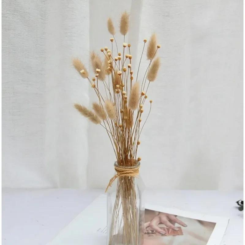 50 Bouquets of Brazilian Lucky Flowers Preserved Flowers Natural Real Small Dried Flowers Bouquets