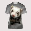 Cute Ferrets Pattern 3D Printed T-Shirt For Men Funny Animal Tees Summer Casual Short Sleeves Loose T Shirts Harajuku O-Neck Top