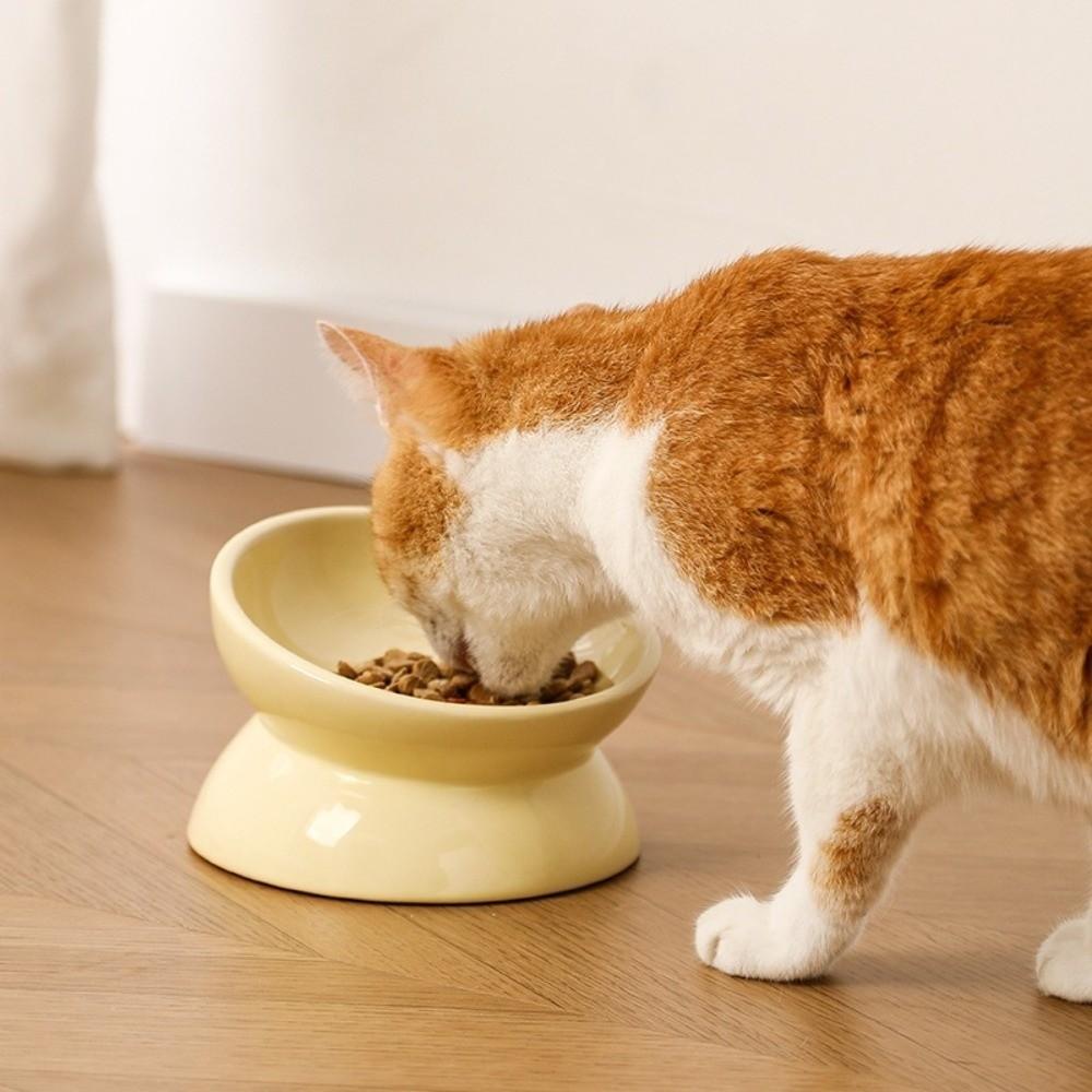 Ciotola Rialzata in Ceramica ad Ampio Diametro per Gatti Anti Ribaltamento Ciotola Alimentazione Gatti Protezione Cervicale