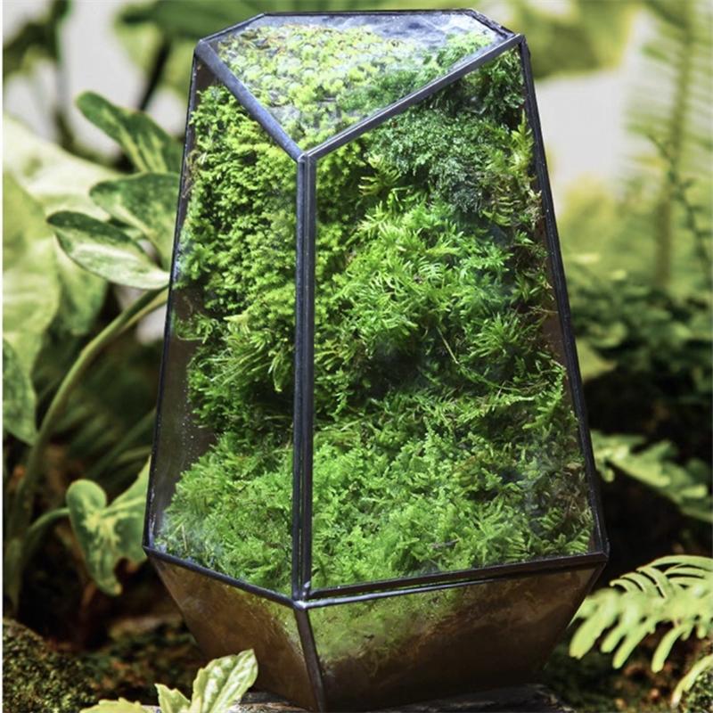 Quartz Shape Micro Landscape Glass Terrarium Moss Planter Tank Glass Flower Room Irregular Ecological Vase Geometric Terrarium