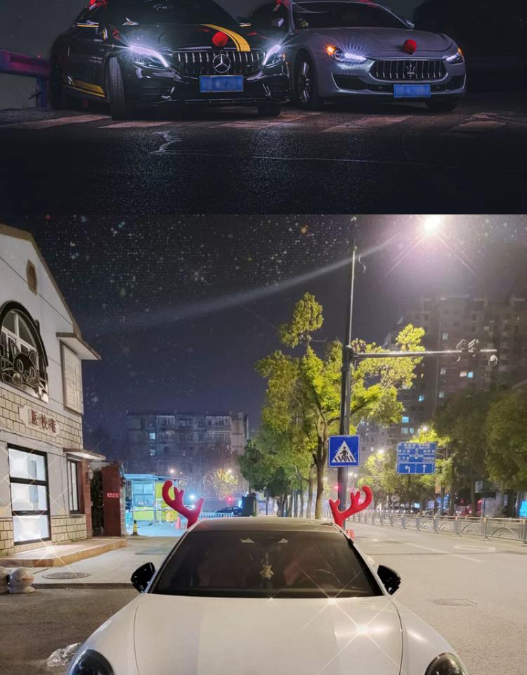 Vánoční dekorace - sobí parohy