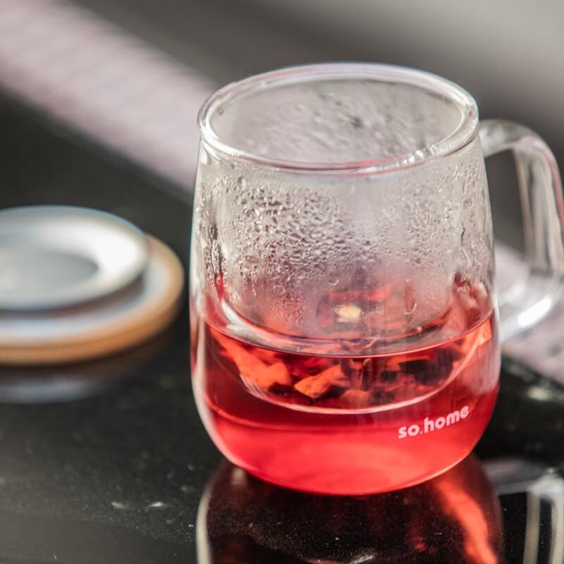 Sohome Double-Layer Tea Infuser Glass Bottle