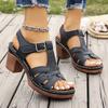 Fashion Lightweight Thick High Heels Sandals Women Plus Size 36-43 Summer Rome Shoes Woman Ankle Buckle Open Toe Beach Sandles Female