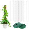 Height Adjustable Moss Pole Transparent Weather Resistant Water Moss Column 24 Inch Reusable Plant Support Indoor Plants