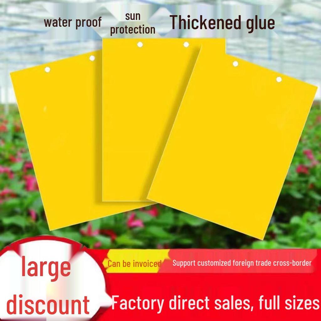 Dual-Sided Insect Sticky Boards: Blue for Attraction, Yellow for Sun & Rain Protection