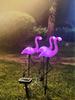 Cross-Border Solar Flamingo Light: Outdoor Garden Villa Lawn Decoration